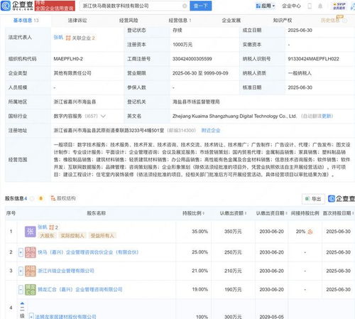 法狮龙携手成立数字科技新公司，布局信息技术咨询服务新赛道