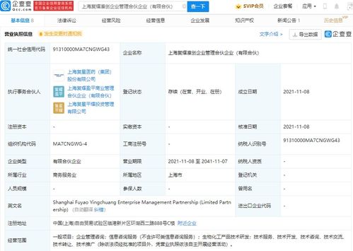 信息技术咨询服务 驱动企业数字化转型的关键力量